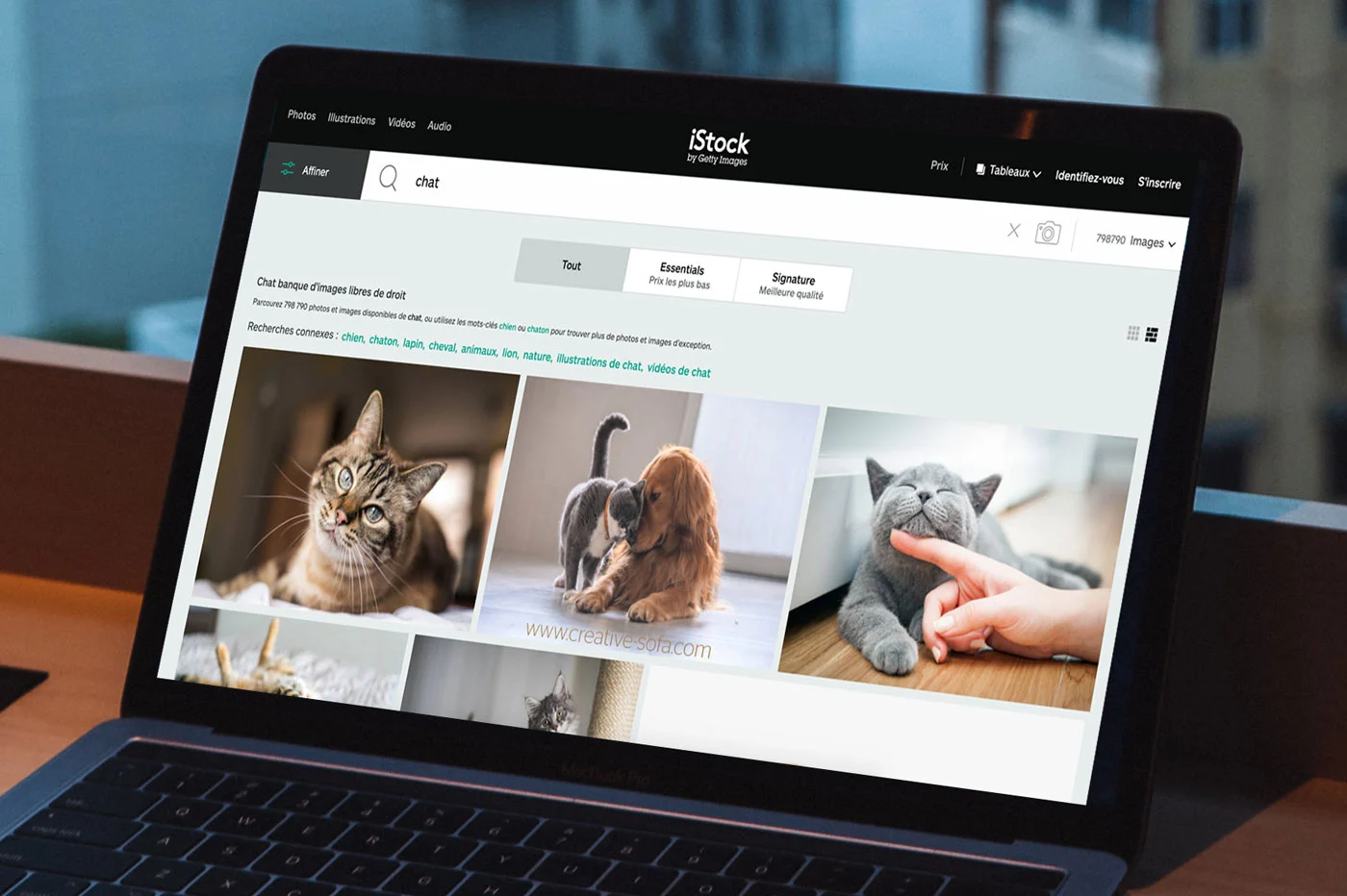 ベスト画像バンク: 3 つのプレミアムオファー + 1 つの無料チップ