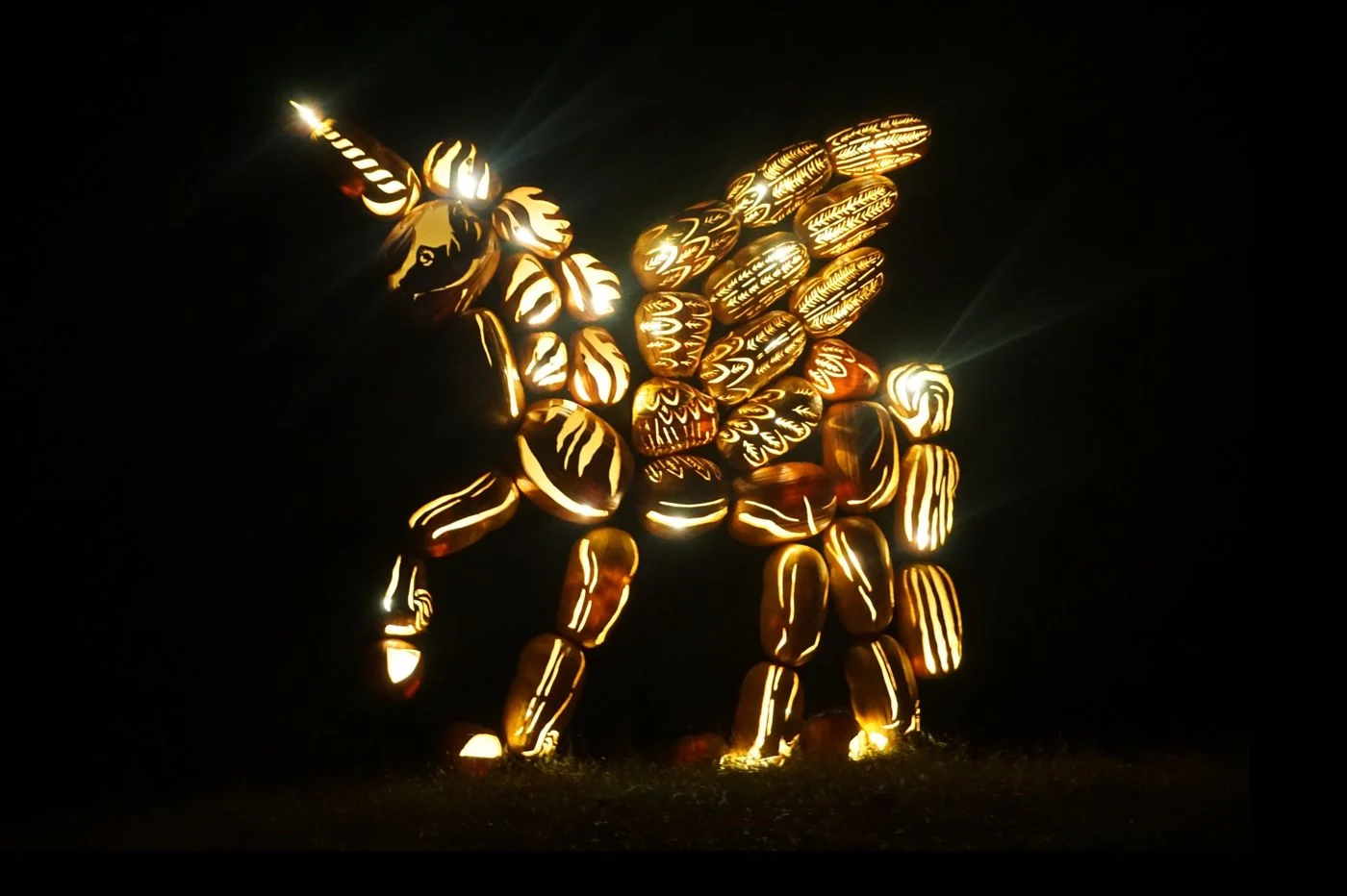 野生の Pegasus スパイウェアのスクリーンショット