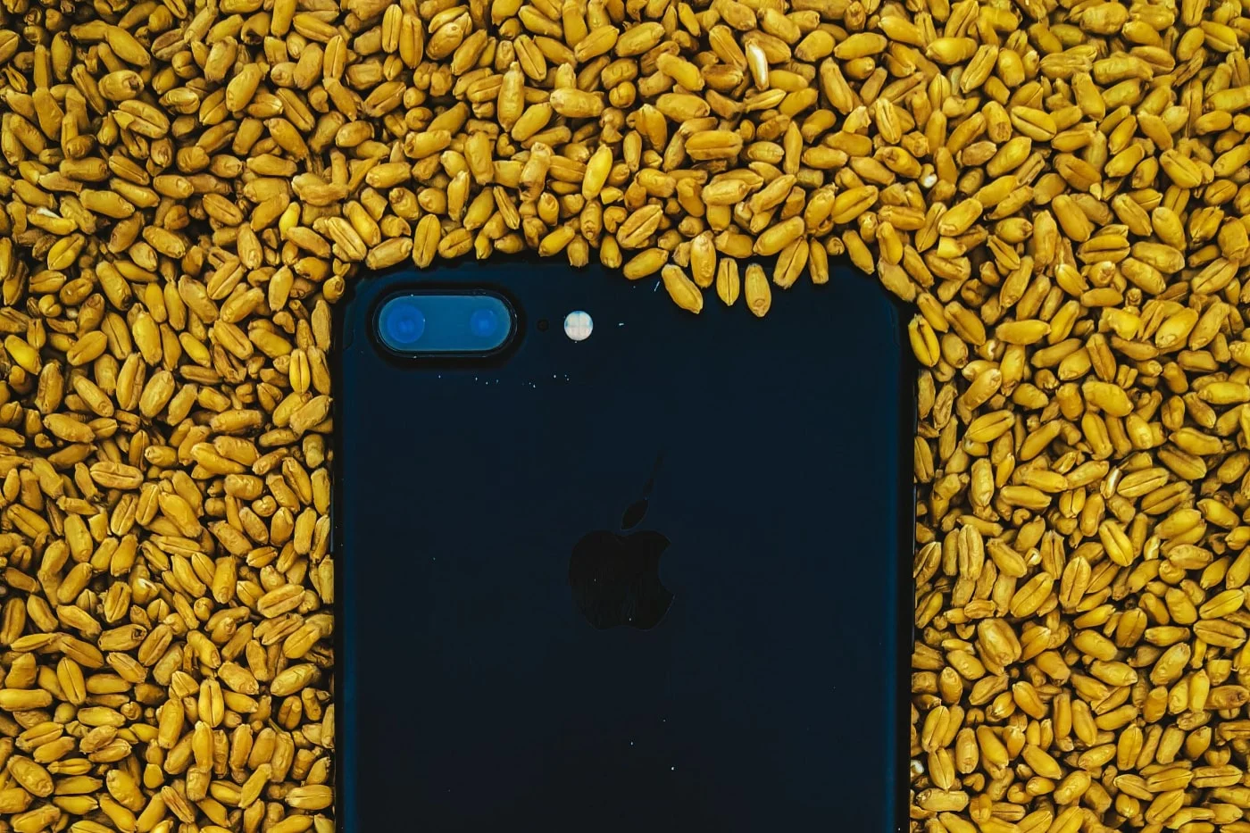 2023 年の最高の iPhone 写真の 1 つは iPhone 7 Plus で撮影されました