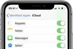 iOS 11.4.1 のベータ 2 は、パブリック ベータ プログラム (アップデート) のテスター向けに利用可能です